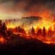 Les incendies de forêts font flamber les BPCO