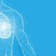 Asthme sévère, impact du mépolizumab sur le remodelage bronchique
