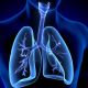Importance de l’évaluation de la déposition pulmonaire des trithérapies 
