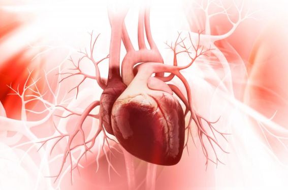 BPCO, l’association budésonide/glycopyrrolate/formotérol fumarate réduit le risque cardiovasculaire